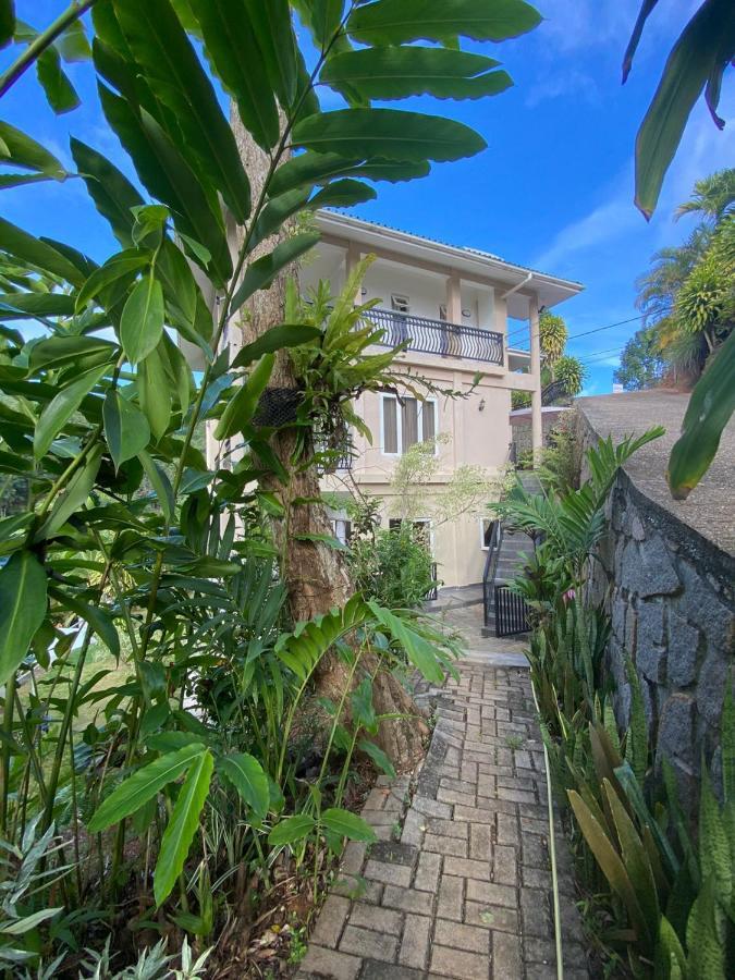 South Hill Villa Анс-Руаяль Экстерьер фото